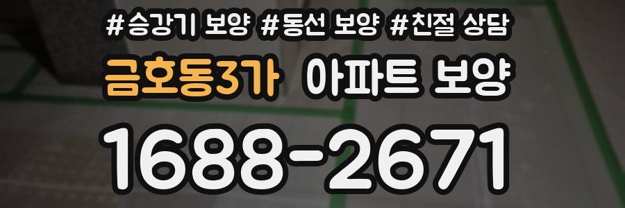 금호동3가 아파트 보양