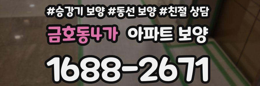 금호동4가 아파트 보양