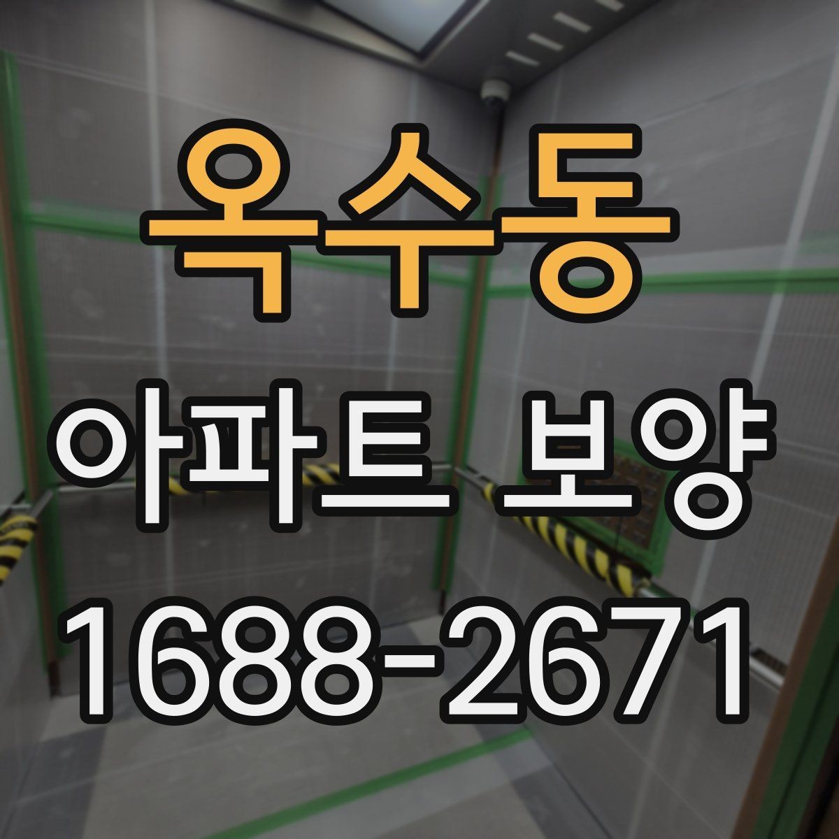 옥수동 아파트 보양 시 보호 범위를 정하는 방법