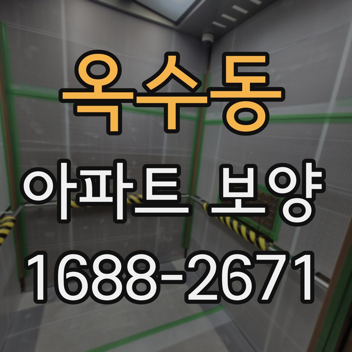 옥수동 아파트 보양