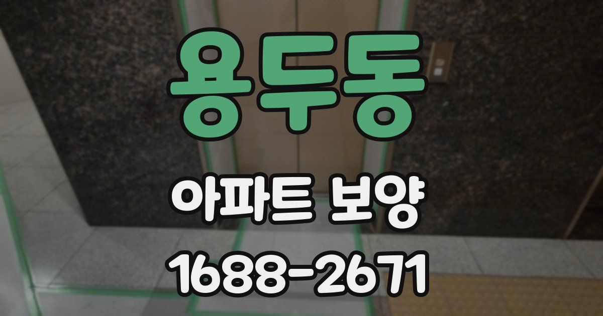 용두동 아파트 보양