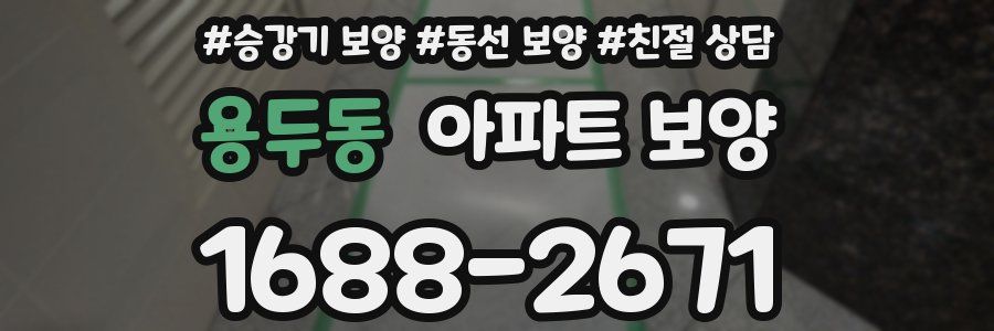 용두동 아파트 보양