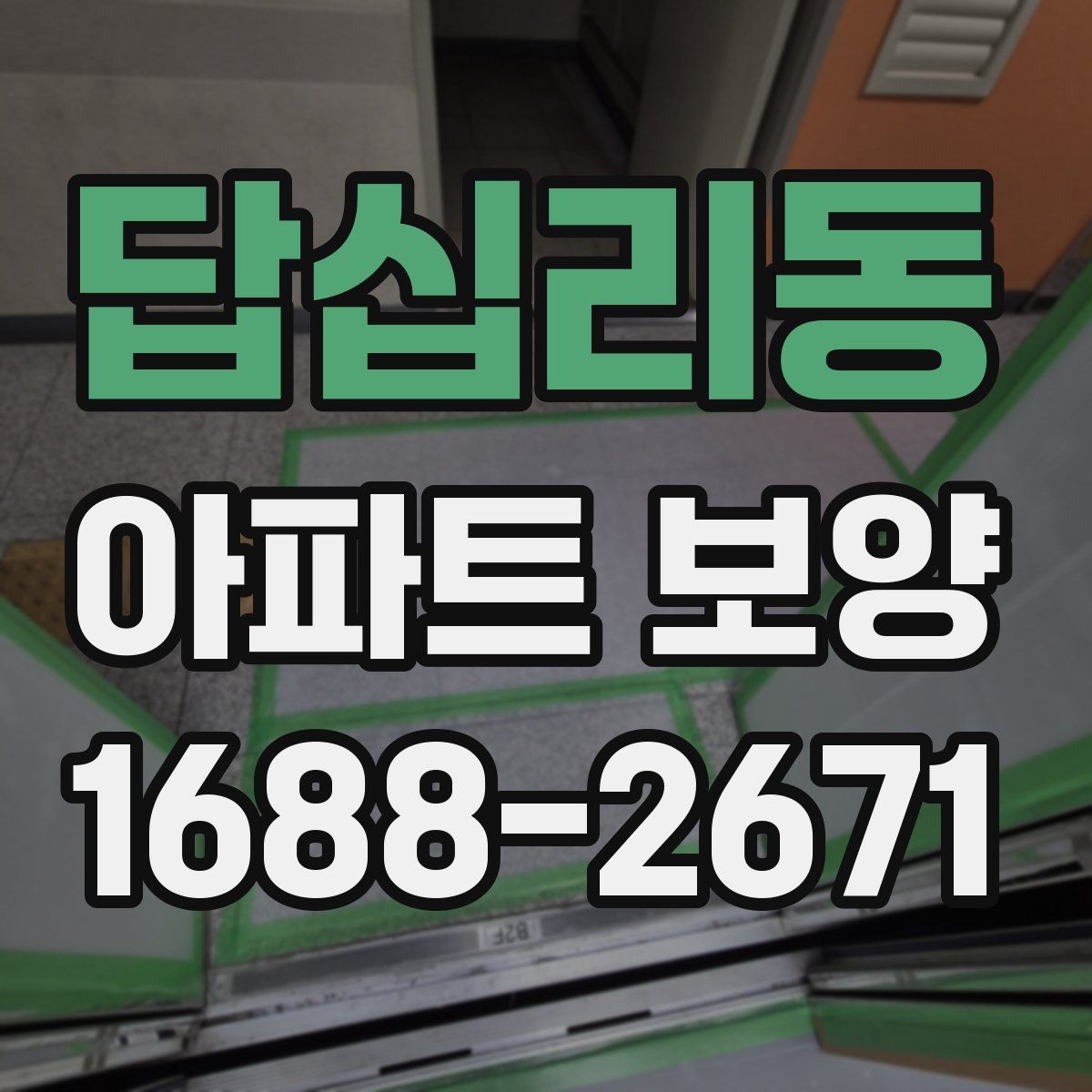 답십리동 아파트 보양