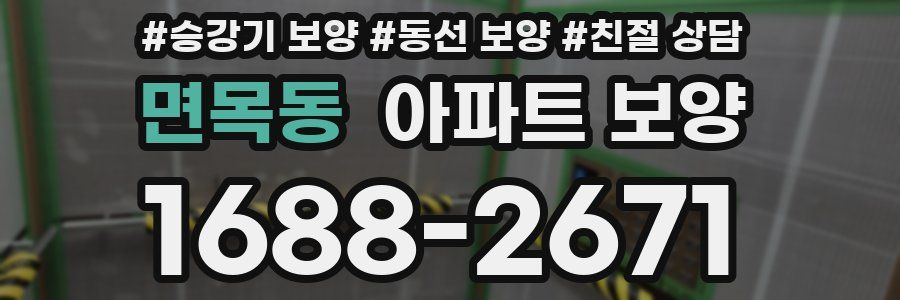 면목동 아파트 보양