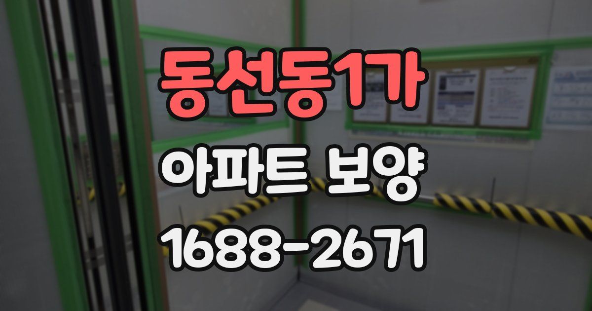 동선동1가 아파트 보양