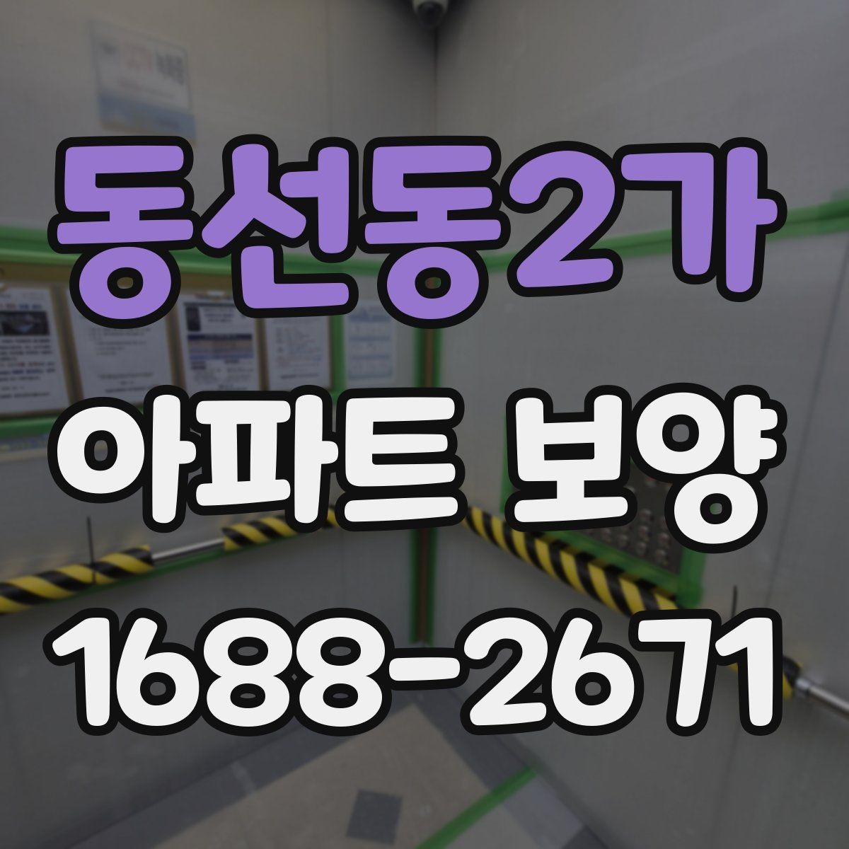 동선동2가 아파트 보양 체크 포인트를 한눈에 정리