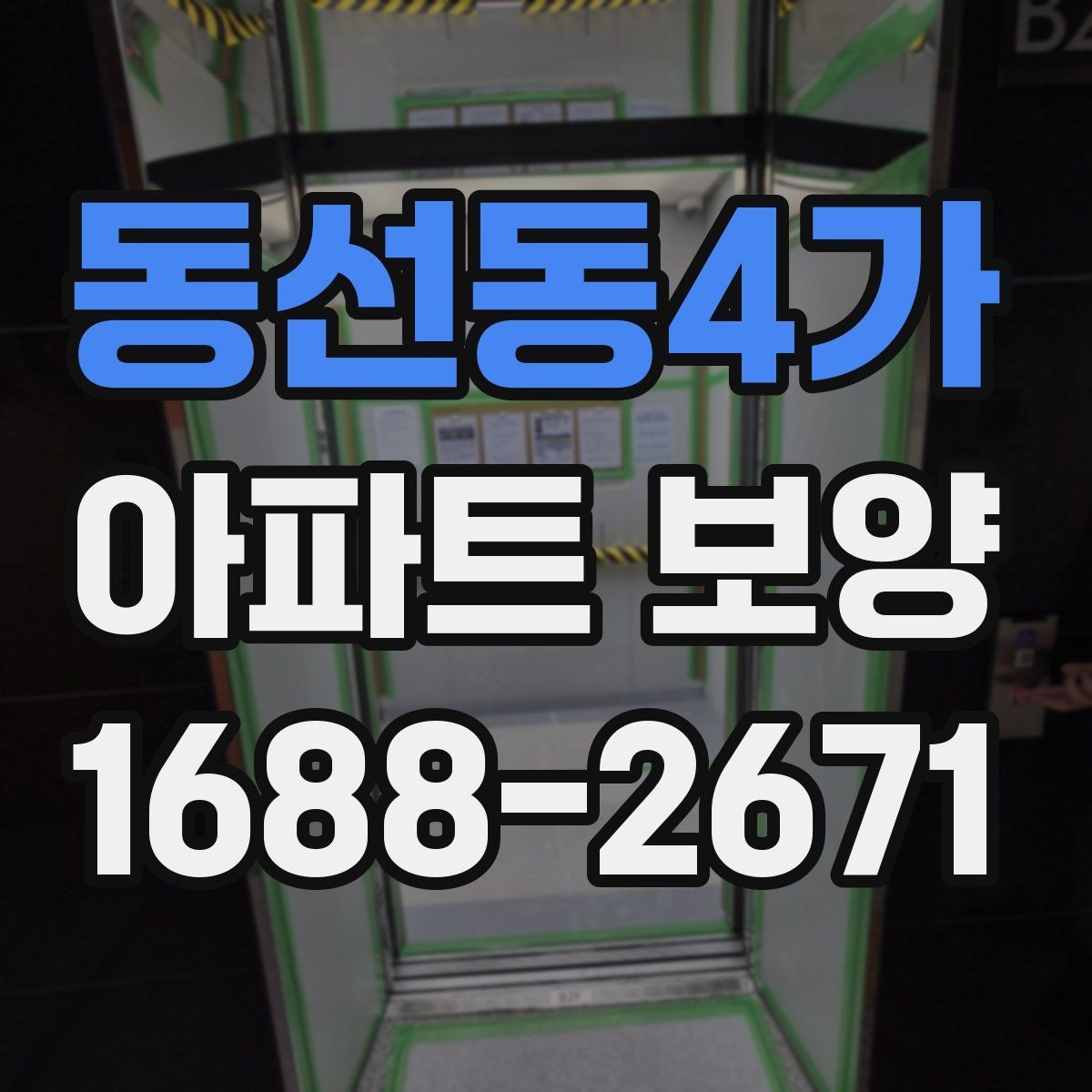 동선동4가 아파트 보양 작업 범위와 진행 순서