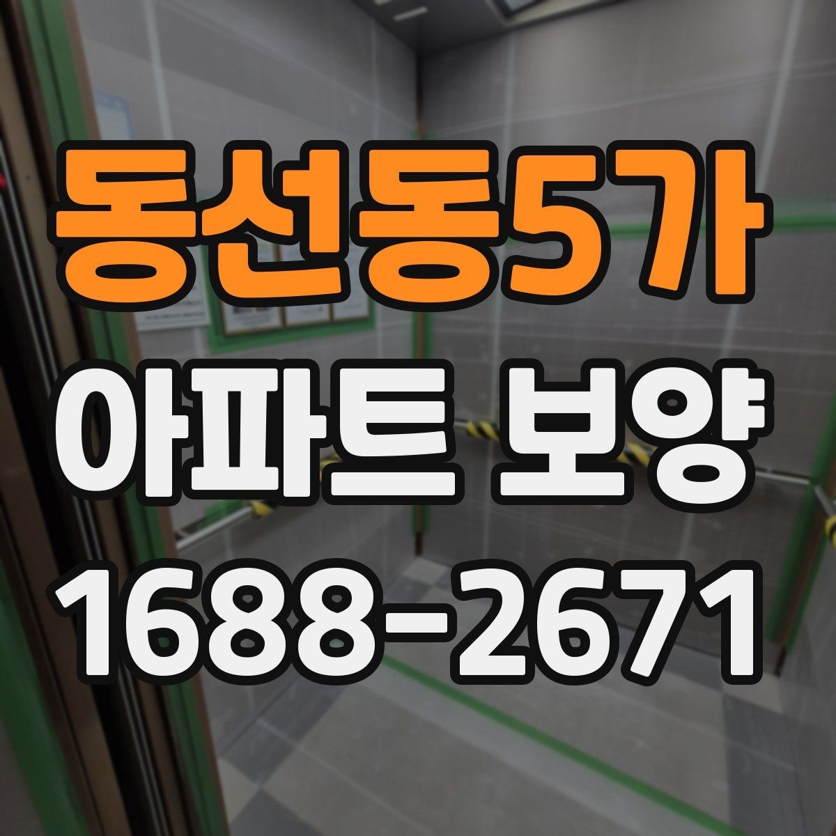 동선동5가 아파트 보양 자재별 장단점과 선택 기준