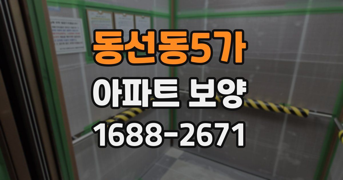 동선동5가 아파트 보양