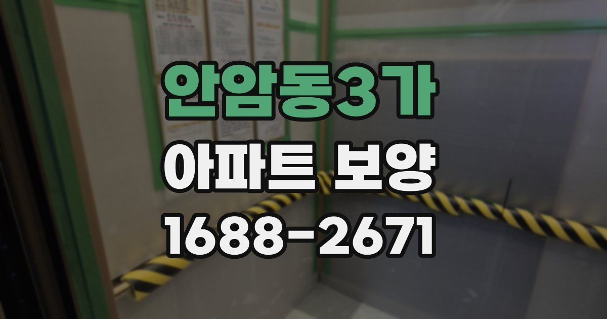 안암동3가 아파트 보양