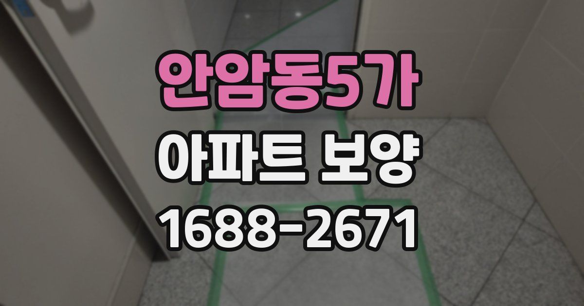 안암동5가 아파트 보양