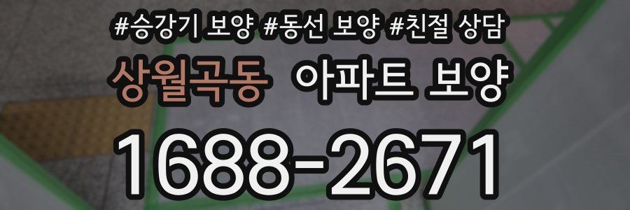 상월곡동 아파트 보양