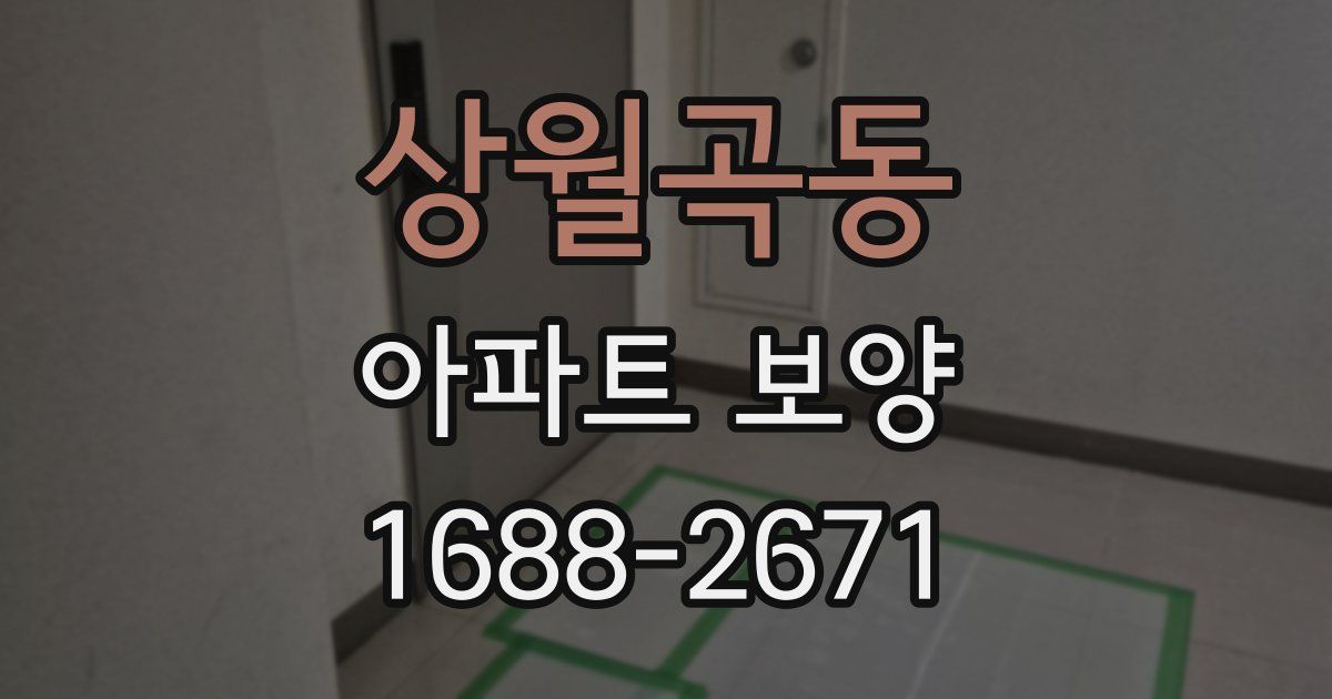 상월곡동 아파트 보양