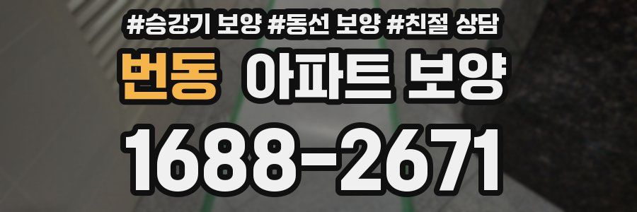 번동 아파트 보양