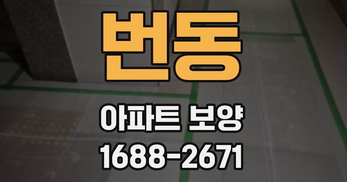 번동 아파트 보양