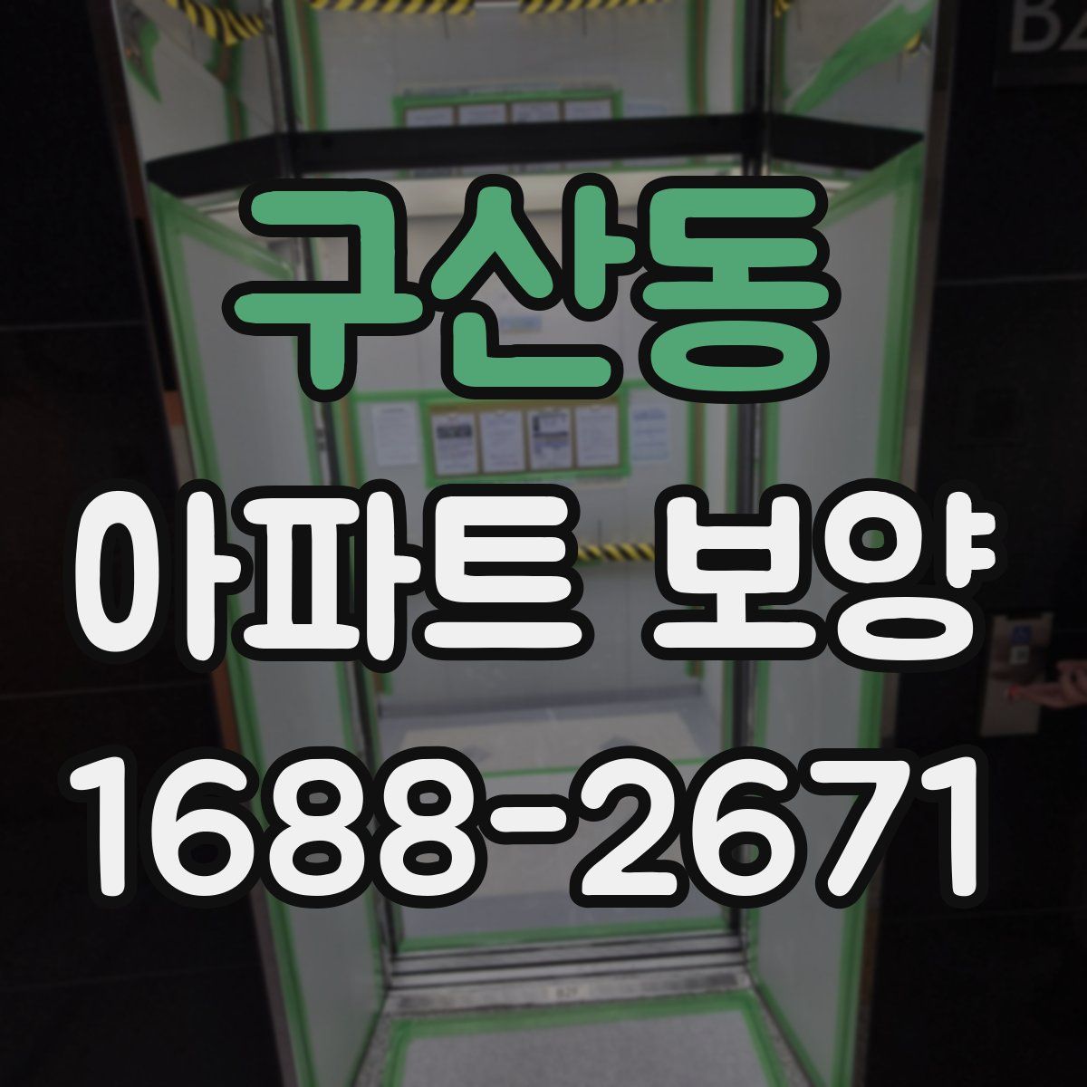 구산동 아파트 보양