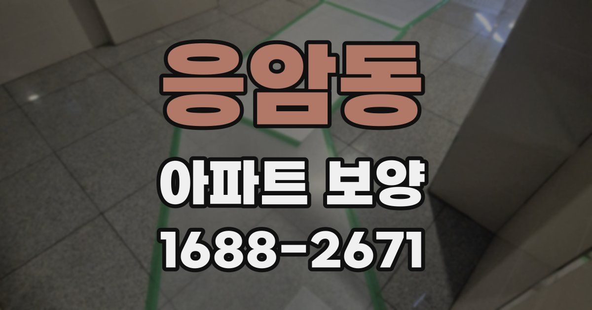 응암동 아파트 보양