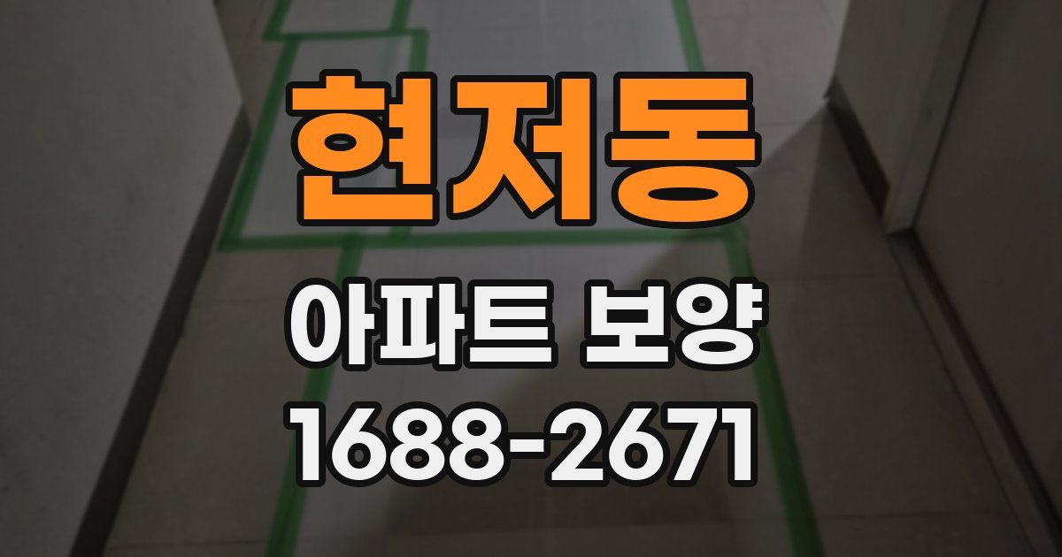 현저동 아파트 보양