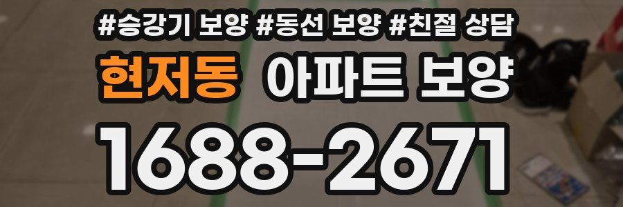 현저동 아파트 보양