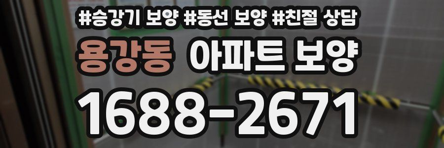 용강동 아파트 보양