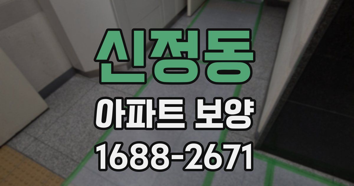 신정동 아파트 보양