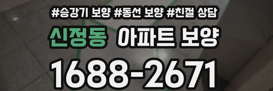 신정동 아파트 보양