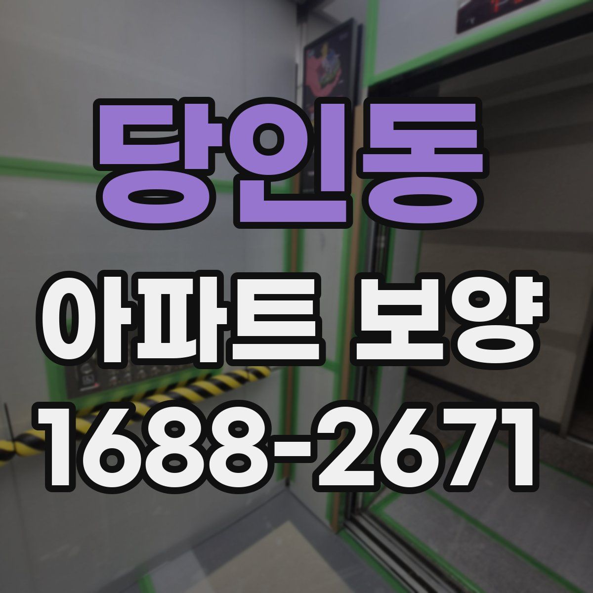 당인동 아파트 보양