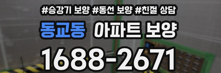동교동 아파트 보양