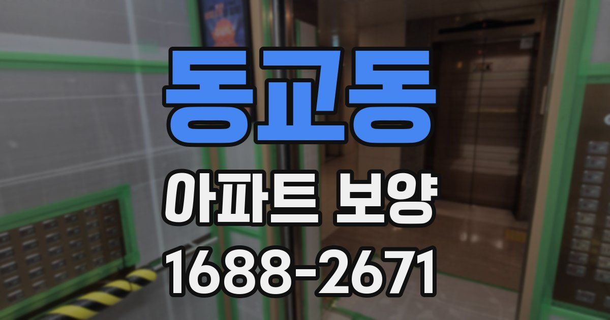 동교동 아파트 보양