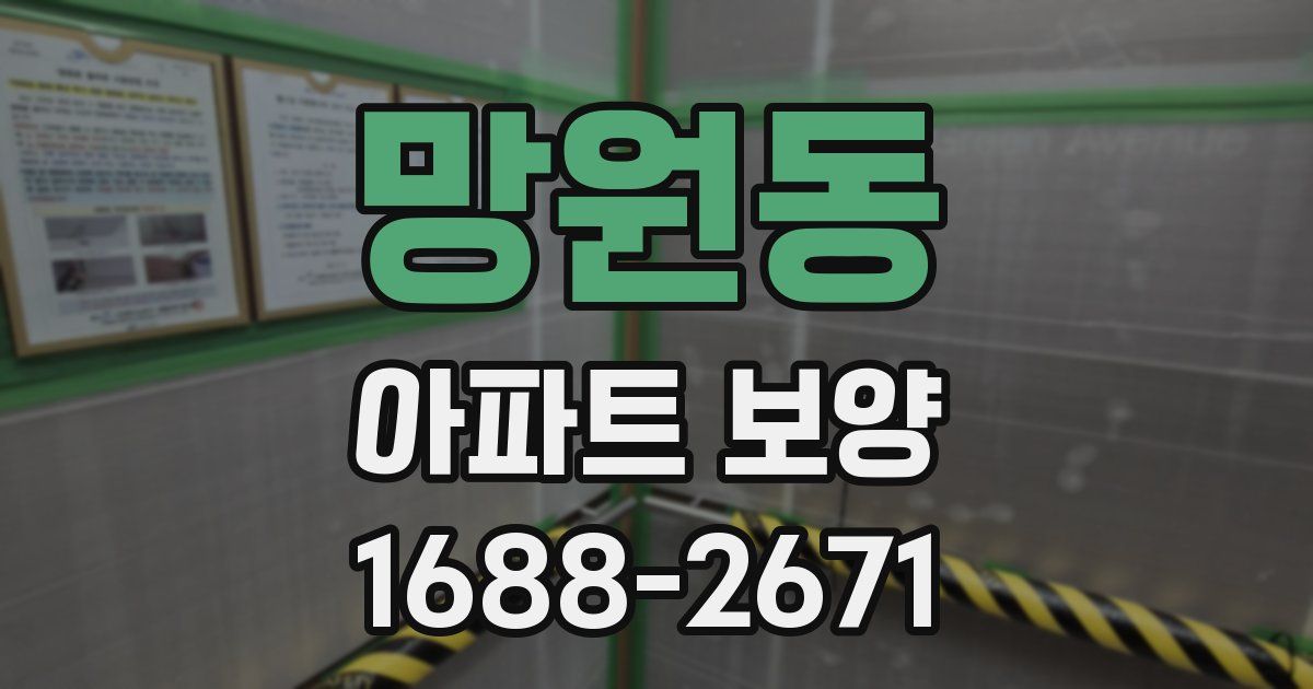 망원동 아파트 보양