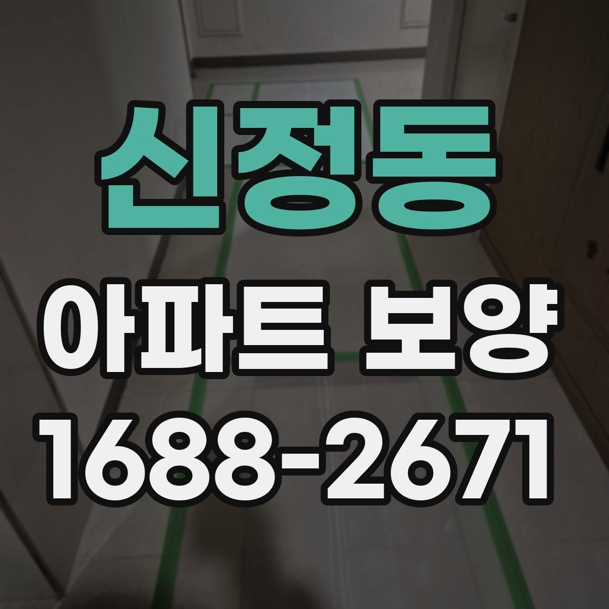 신정동 아파트 보양