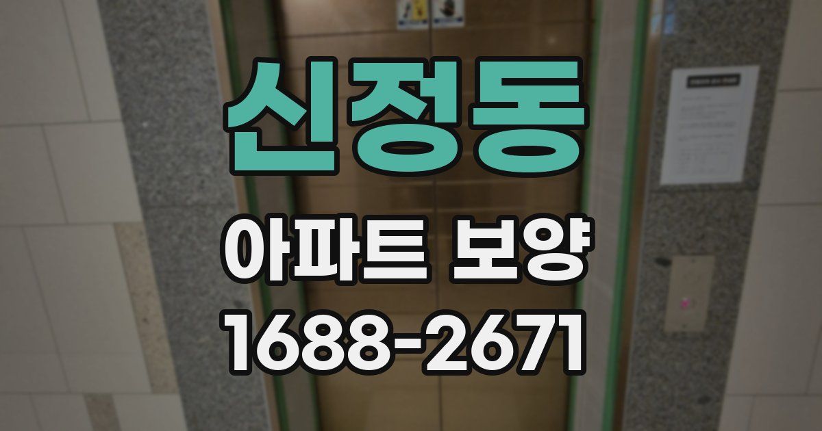신정동 아파트 보양