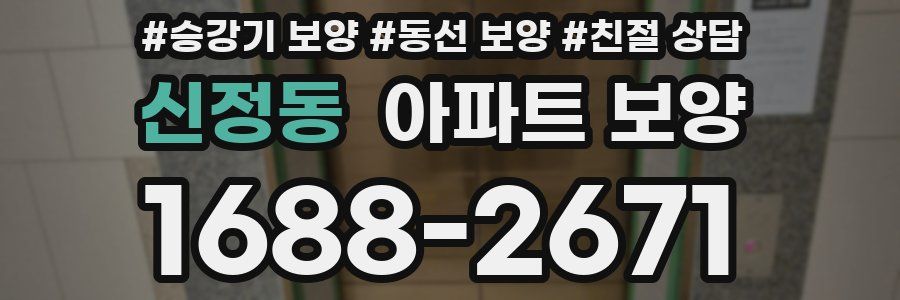 신정동 아파트 보양