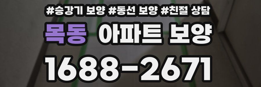 목동 아파트 보양