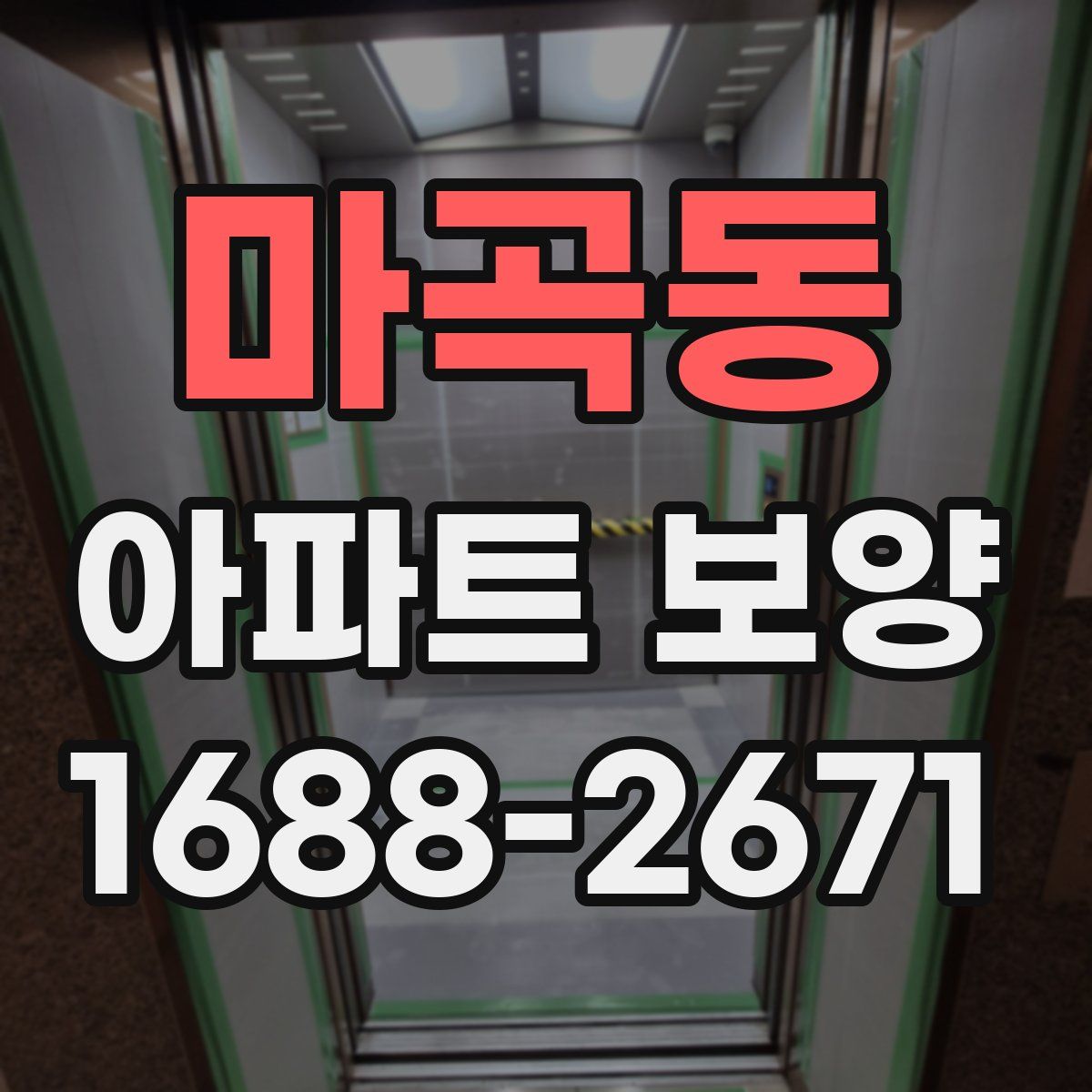 마곡동 아파트 보양