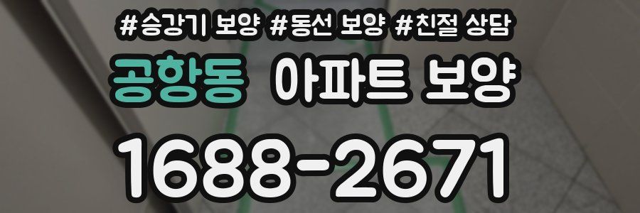 공항동 아파트 보양