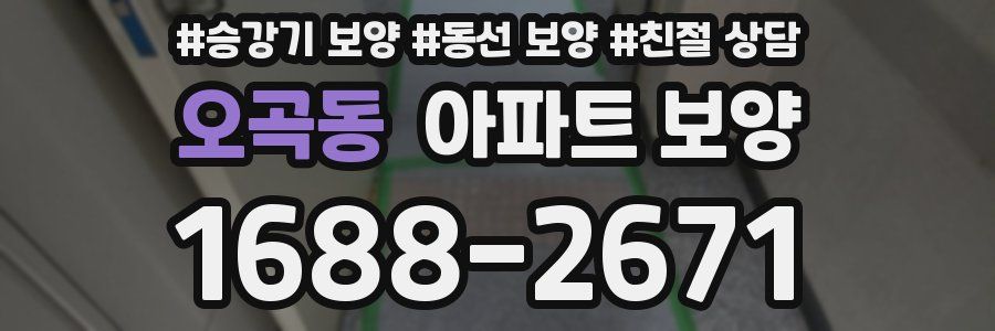 오곡동 아파트 보양