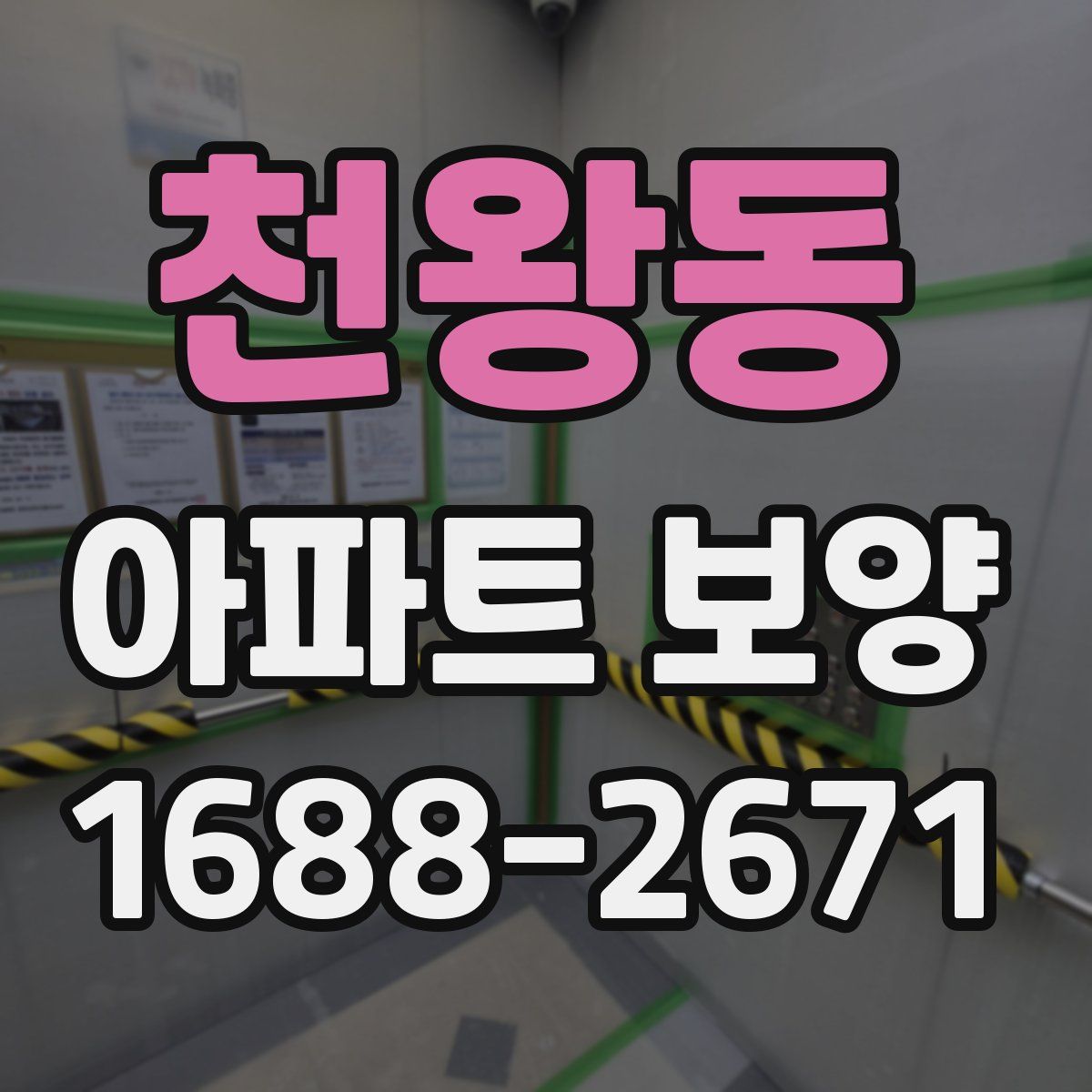 천왕동 아파트 보양