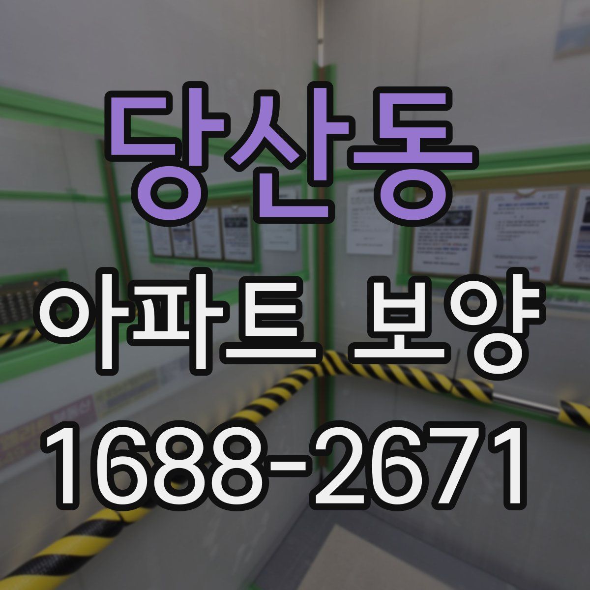 당산동 아파트 보양