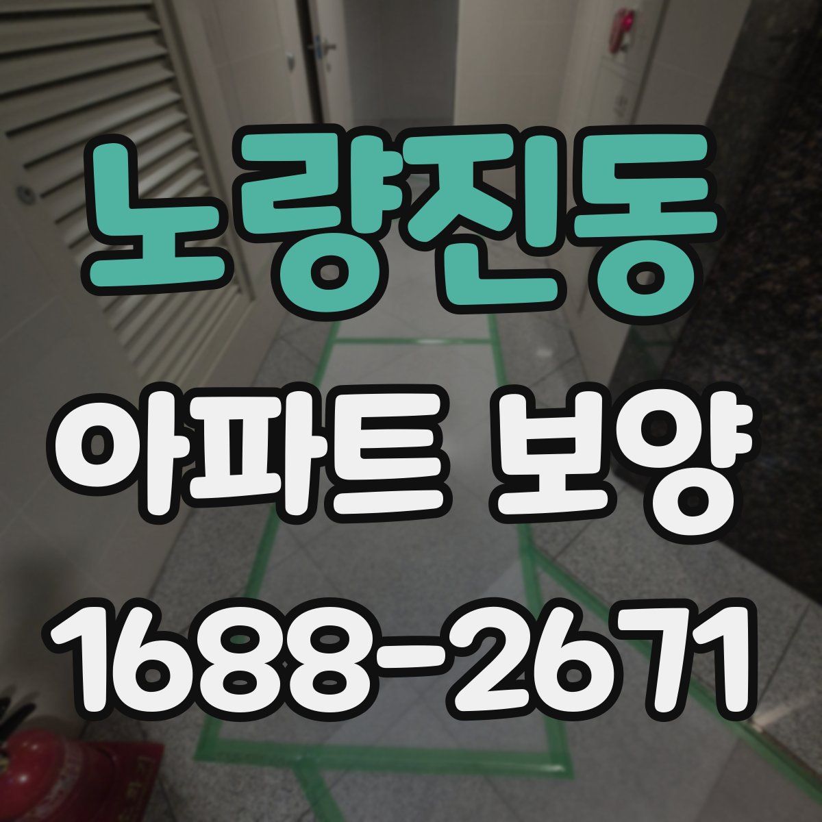 노량진동 아파트 보양