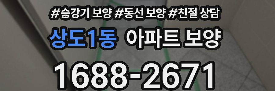 상도1동 아파트 보양