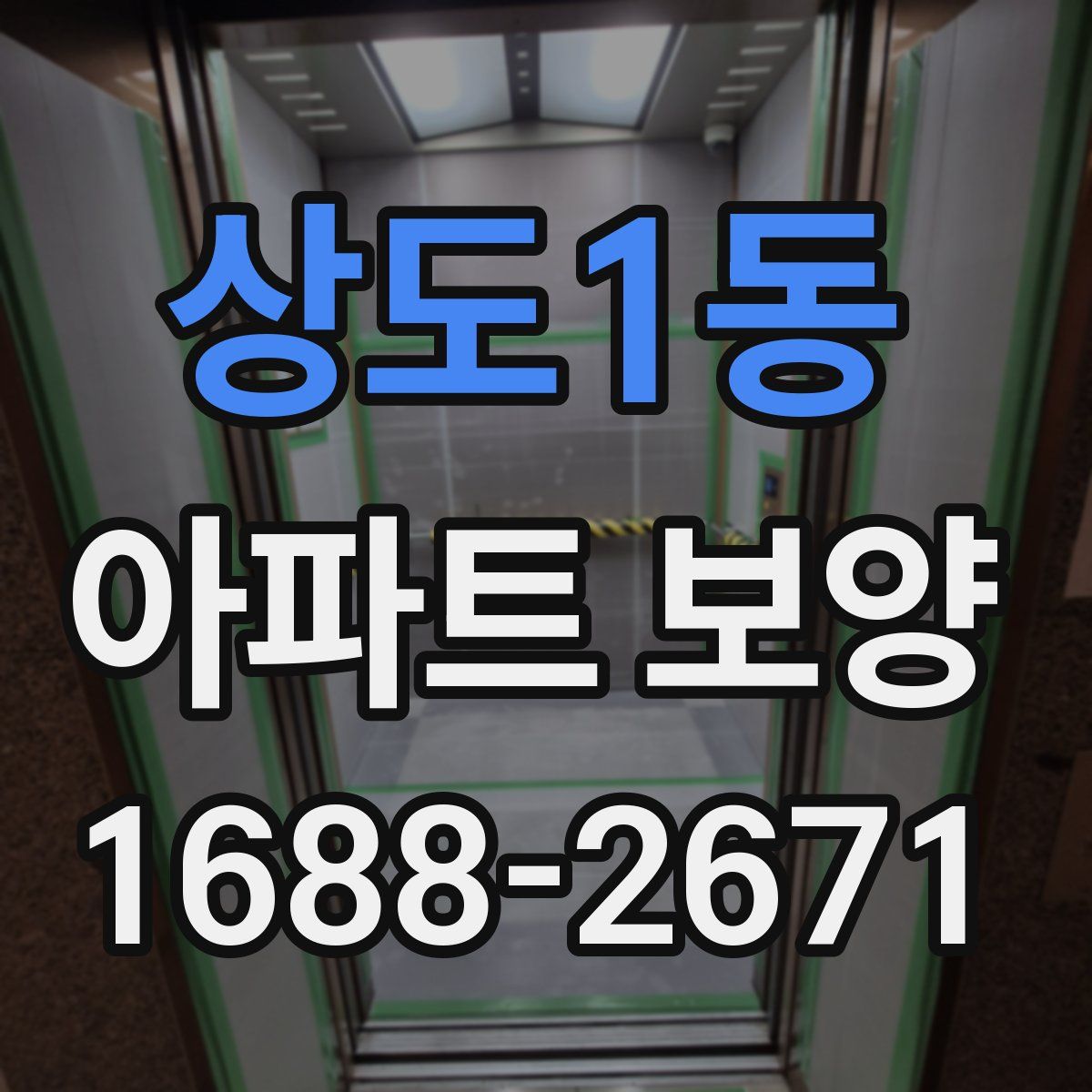 상도1동 아파트 보양