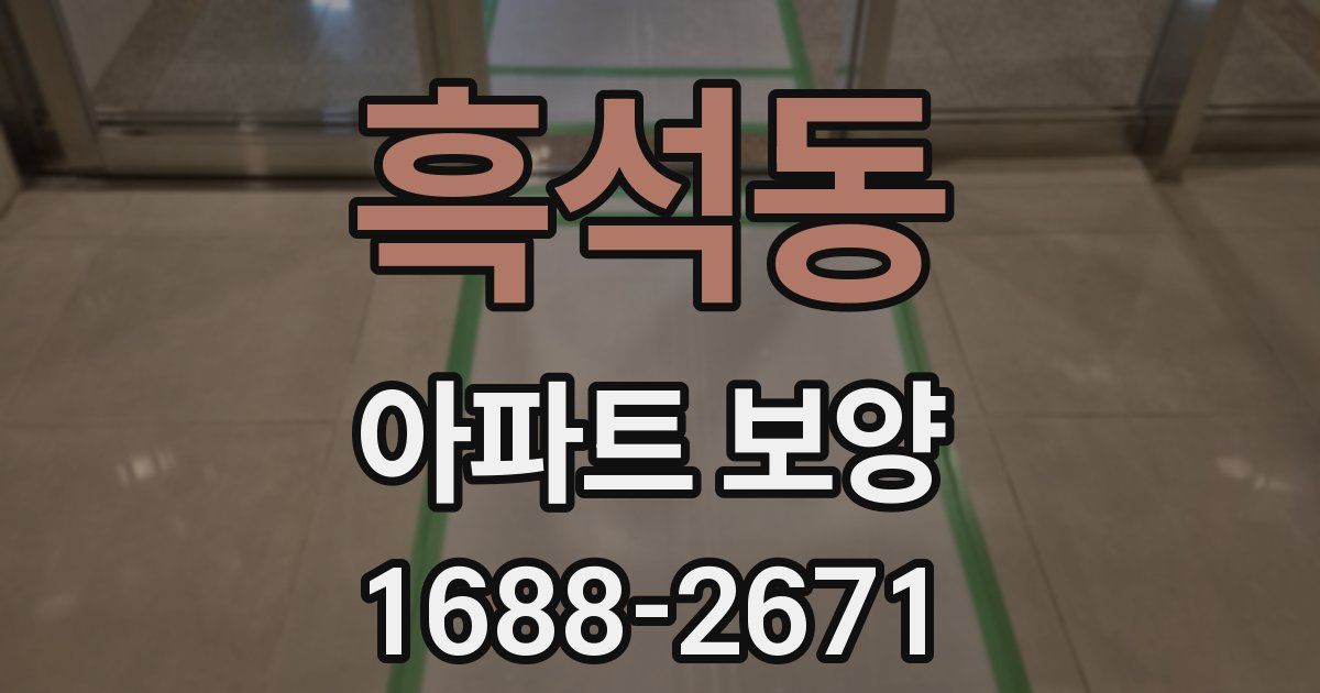 흑석동 아파트 보양