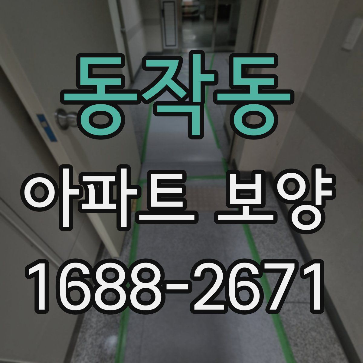 동작동 아파트 보양
