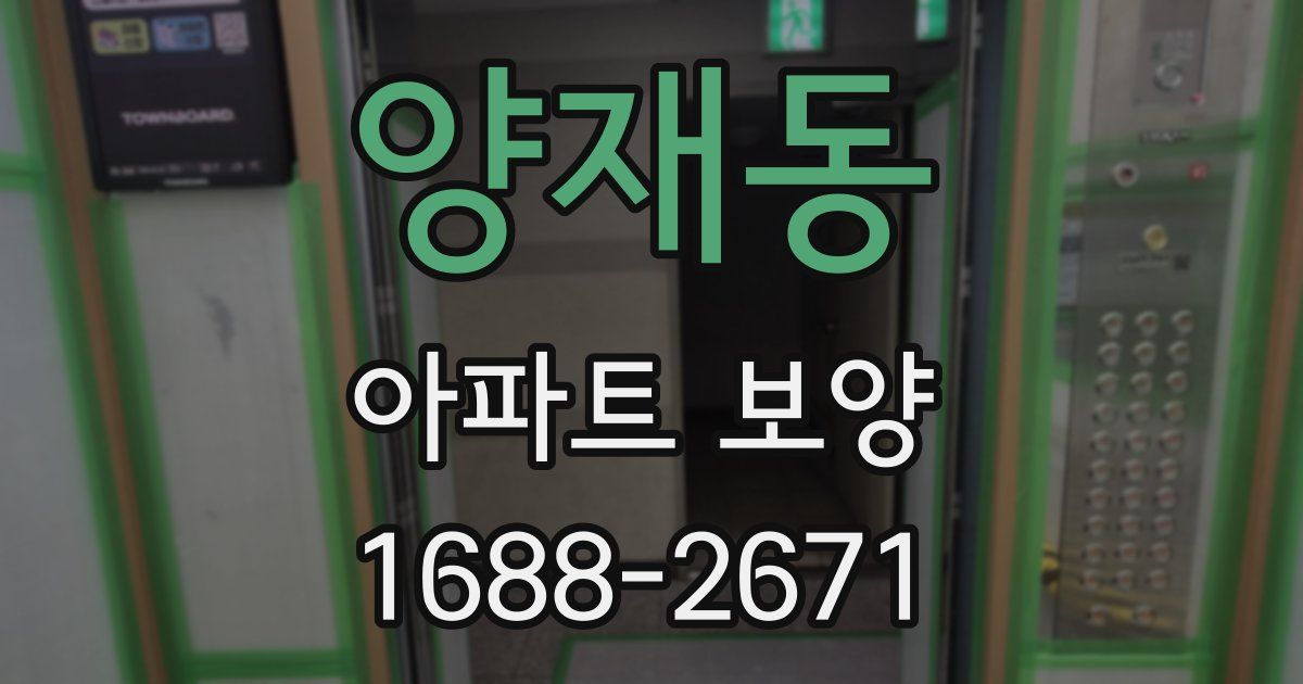 양재동 아파트 보양