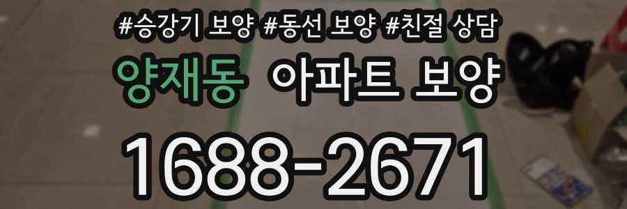 양재동 아파트 보양