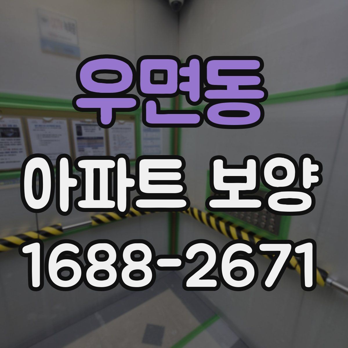 우면동 아파트 보양 자재 선택 기준과 활용 방법