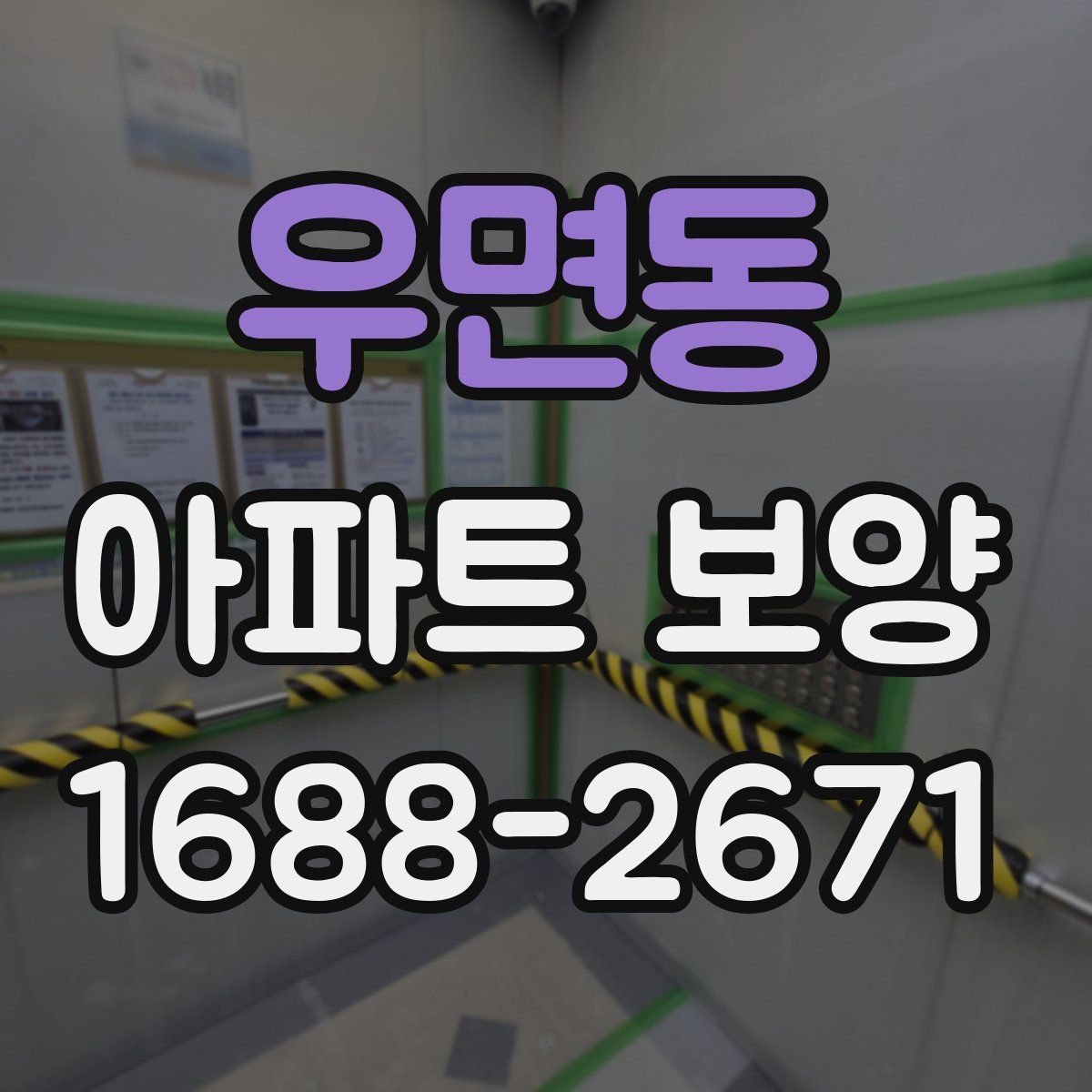 우면동 아파트 보양