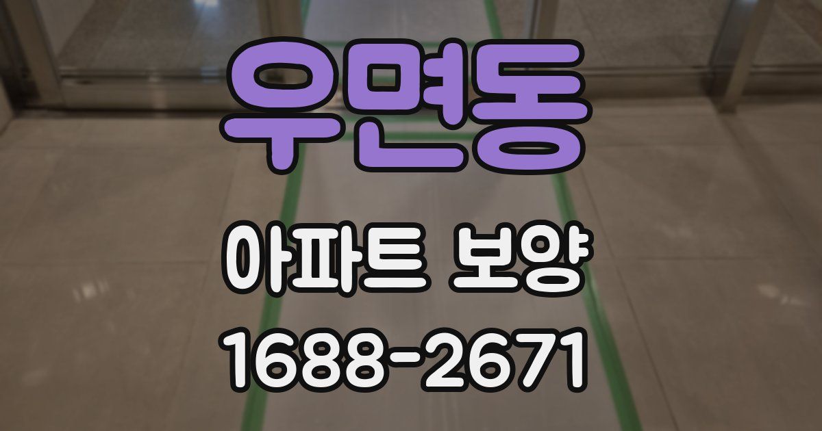 우면동 아파트 보양
