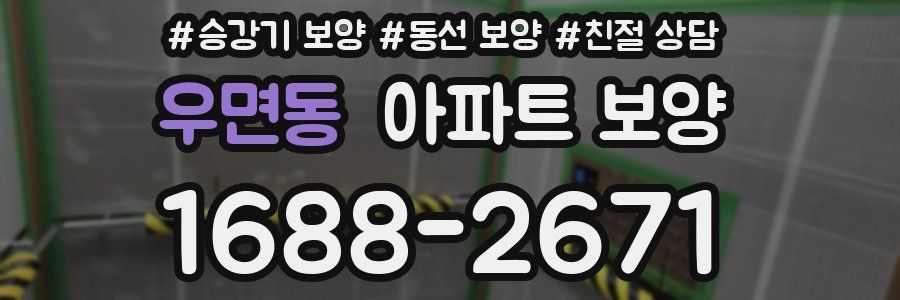 우면동 아파트 보양